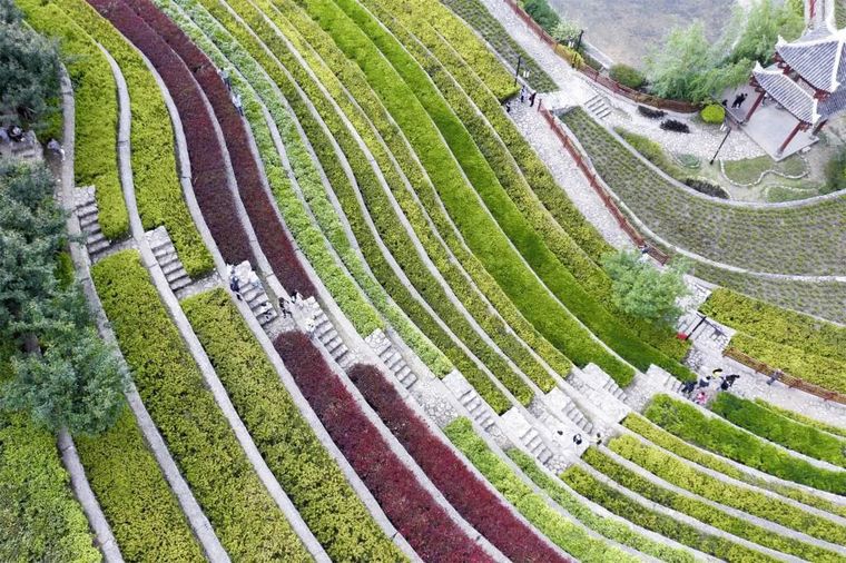 ▼梯田秋冬效果图