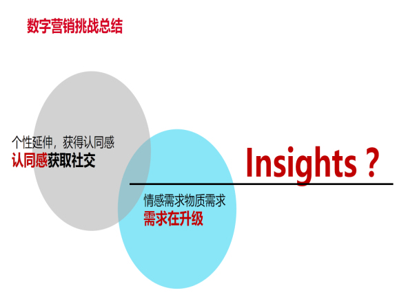 抖音营销策划地产抖音运营方案-数字营销挑战总结