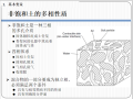 非饱和土力学培训02基本原理与SWCC