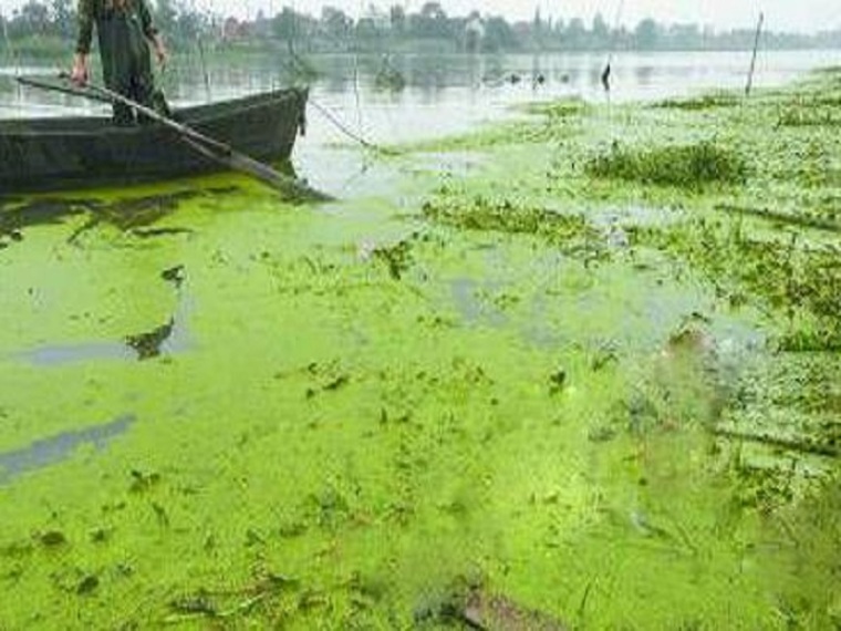 ppp海绵城市资料下载-海绵城市概念及研究现状