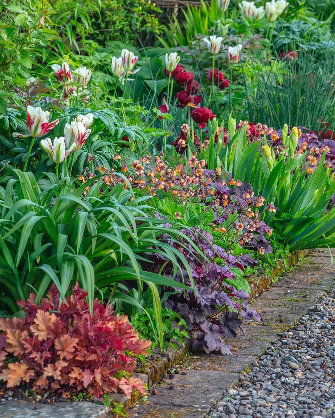 [分享]花园花境美图分享,你最喜欢哪种风格?