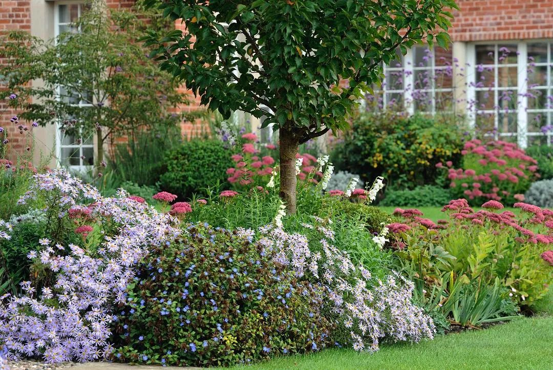 [分享]花园花境美图分享,你最喜欢哪种风格?