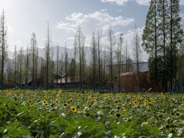 成都融创青城溪村