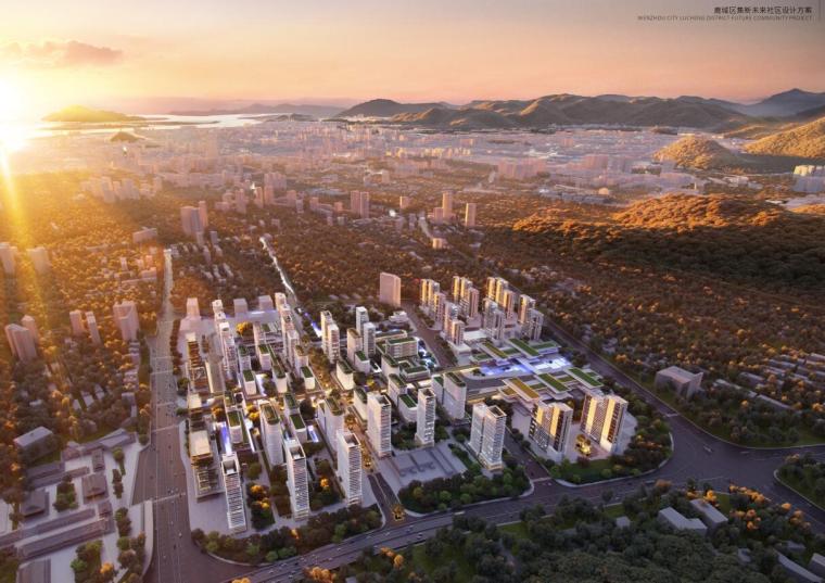 未来住宅方案文本资料下载-温州知名企业现代大型未来社区住宅投标方案