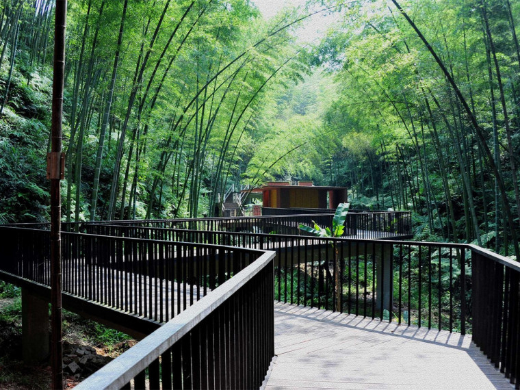 赤水竹海国家森林公园入口