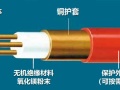 深入了解：消防配电中的矿物绝缘电缆