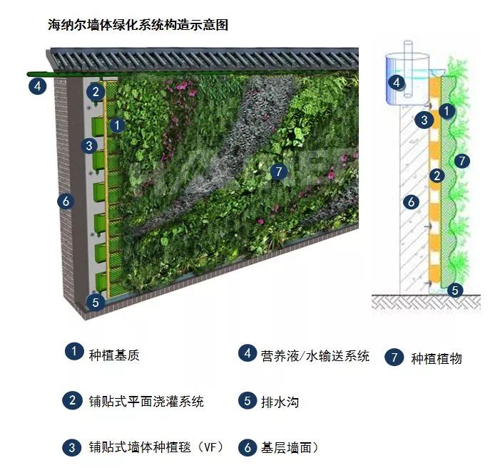 [分享]干货 | 垂直绿化工艺类型分析