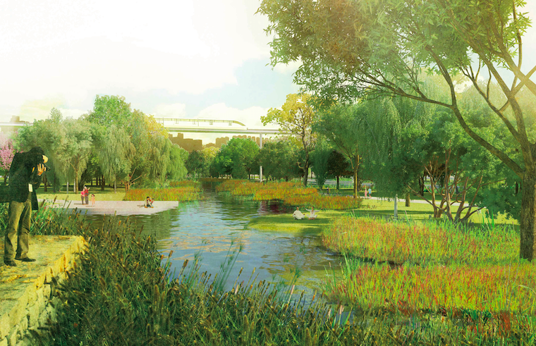 河道布置水体净化植物效果图