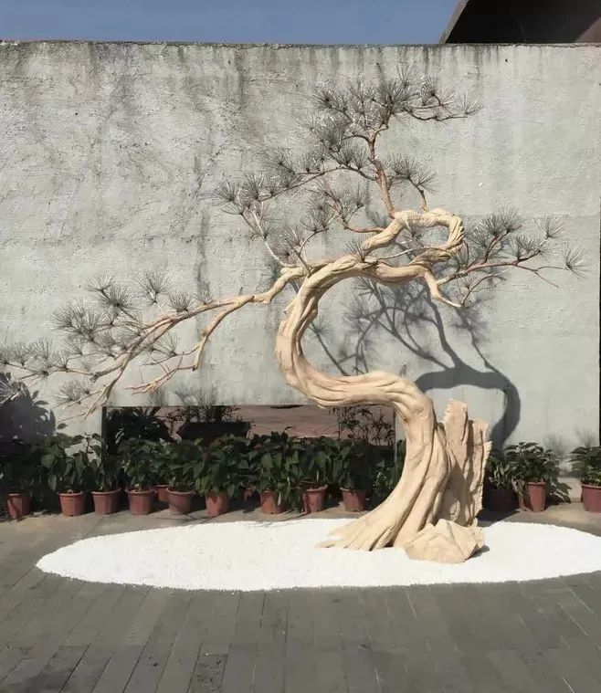 孤植,独树一帜的美-景观设计-筑龙园林景观论坛