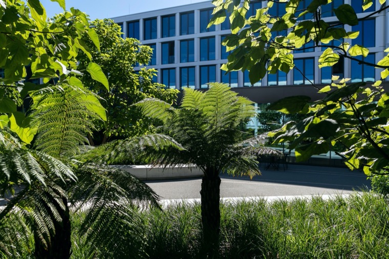 德国KVBW总部大楼的庭院景观实景图
