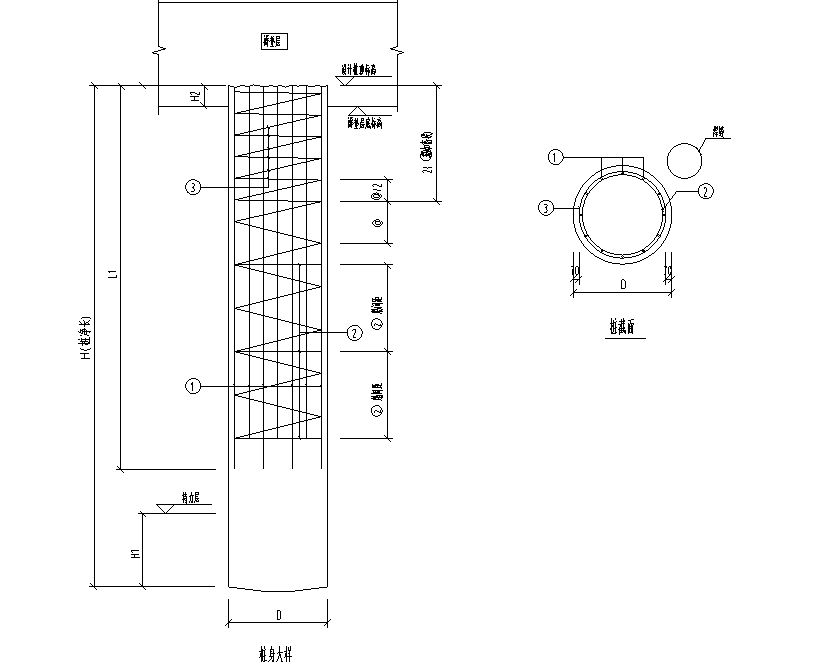 桩身大样图怎么画图片