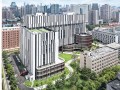 33层框剪结构商业住宅楼土石方工程施工方案