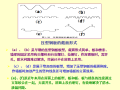 压型钢板设计PPT（47页）