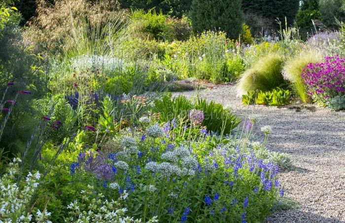 新自然主义草本植物种植设计的发展