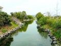 河道治理及生态修复施工组织设计