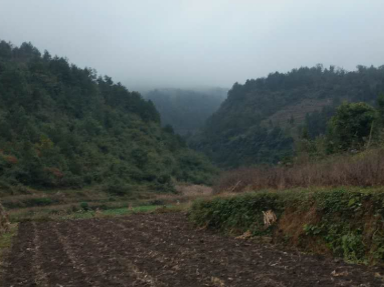 贵州高速公路隧道预算资料下载-[贵州]山岭高速公路隧道爆破设计施工方案