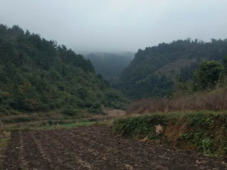 高速公路山岭隧道资料下载-[贵州]山岭高速公路隧道爆破设计施工方案