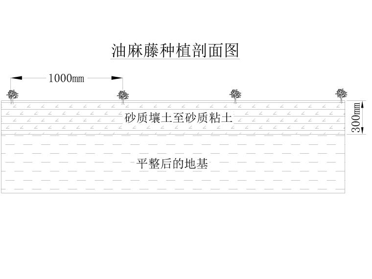 废弃露天矿山生态保护修复设计CAD图(2019年-油麻藤种植剖面图