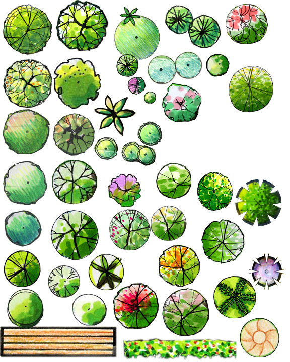 水彩平面植物素材资料下载-园林手绘-手绘植物平面psd素材