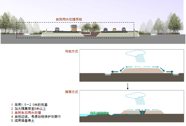 [上海]某道路街景生态景观规划设计-道路断面设计