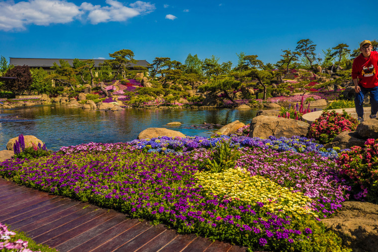 北京“一带一路”峰会雁栖湖夏园景观15