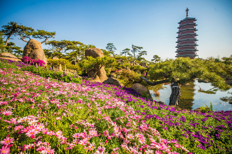 北京“一带一路”峰会雁栖湖夏园景观28