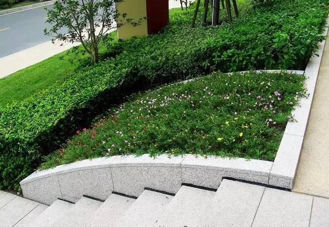 [分享]经验丨园林景观造景——种植池