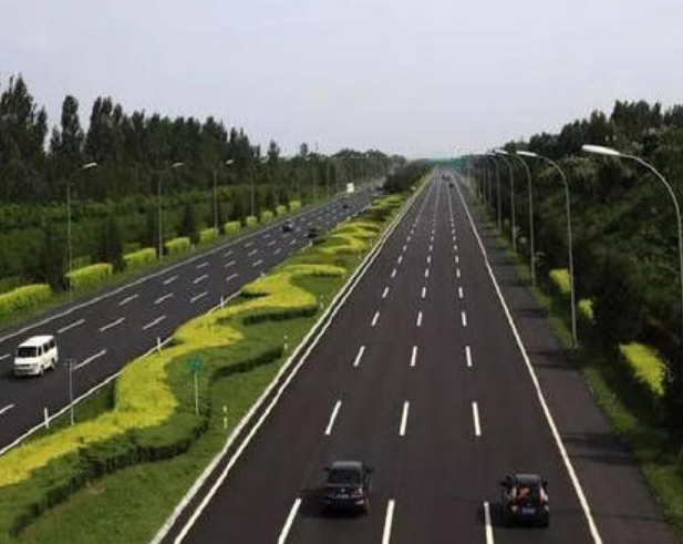 道路改造工程竣工资料下载-道路绿化工程监理竣工总结