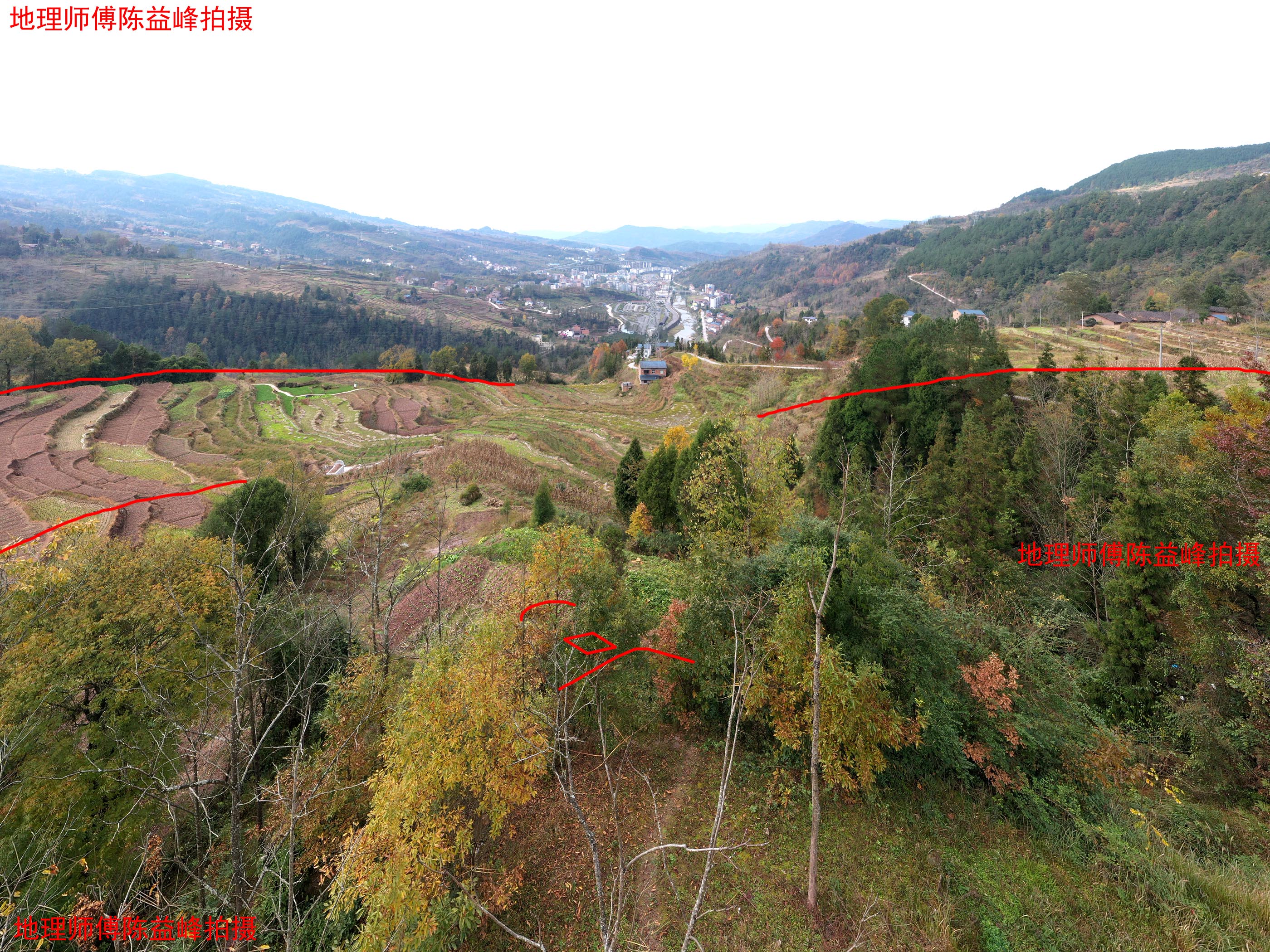 风水木星葬节芽图解图片