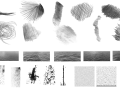 光效，植物，水纹，飞鸟，雨水等PS笔刷下载