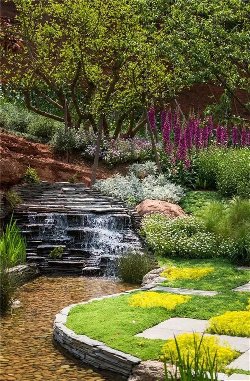 植物造景设计-景观植物-筑龙园林景观论坛