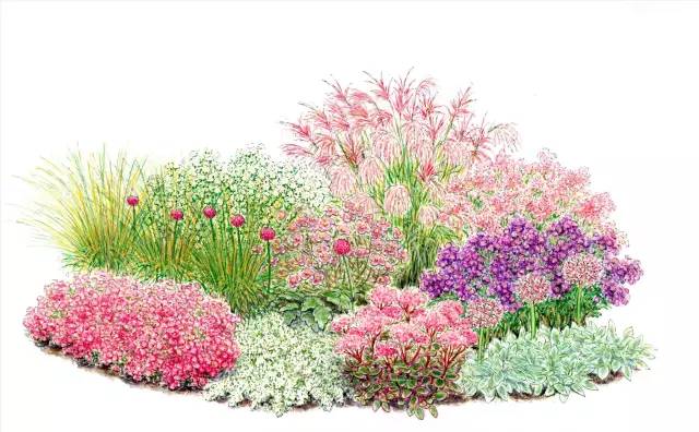 [分享]画笔下精致细腻的手绘花境