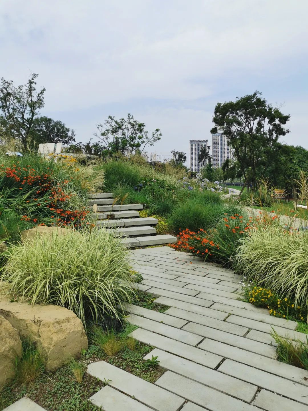 自然野趣的"观赏草",四季有景-景观植物-筑龙园林景观论坛