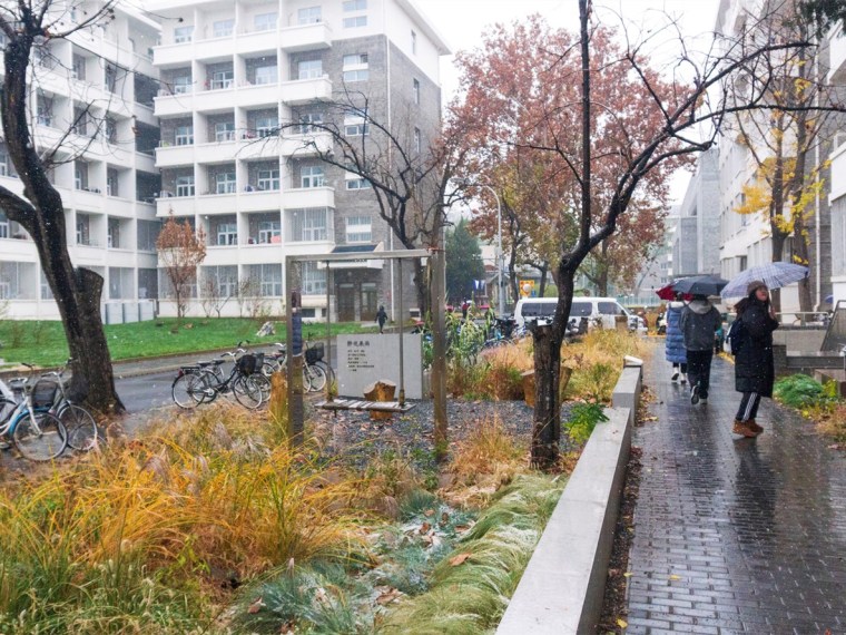 北京大学的宿舍区果雨花园