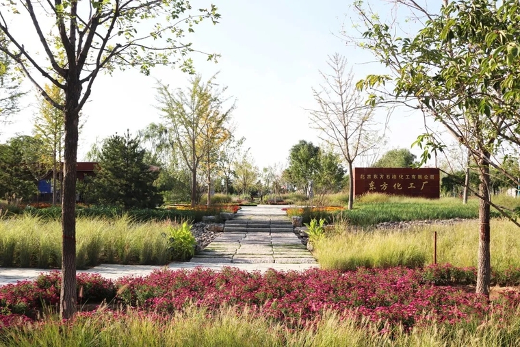 通州城市绿心森林公园-北京建院-公园案例-筑龙园林景观论坛