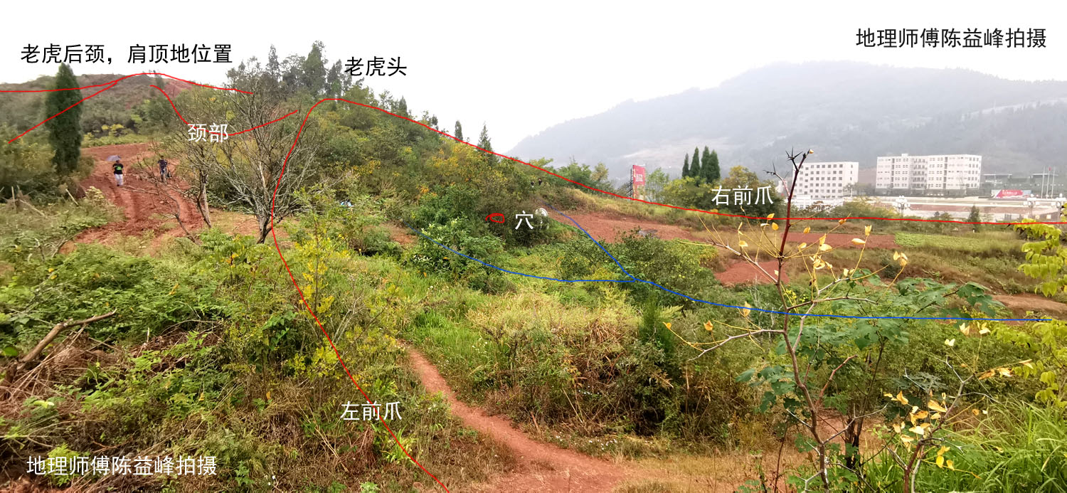 猛虎跳涧,山间大地,穴脚有微茫之合水