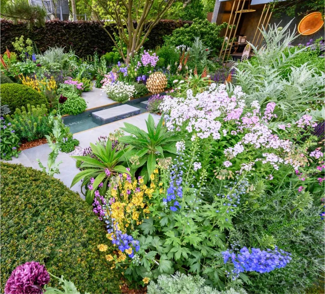 [分享]英式传统花境的现代演绎亮了!