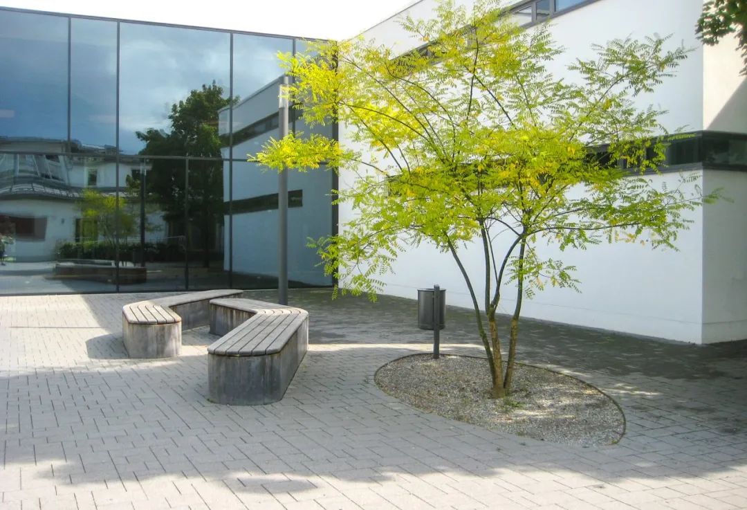 [分享]关于孤植,这是我见过最美的诠释!