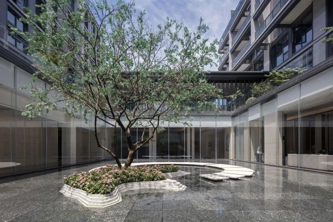 关于孤植,这是我见过最美的诠释!-景观设计-筑龙园林景观论坛