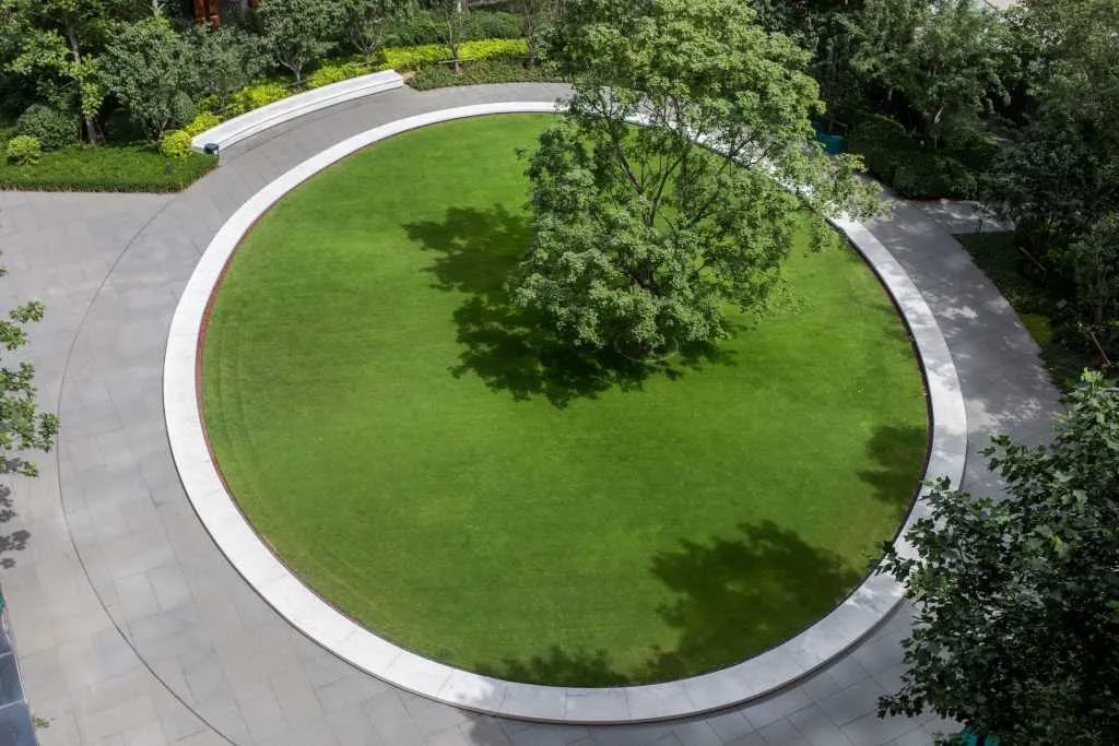 关于孤植,这是我见过最美的诠释!-景观设计-筑龙园林景观论坛