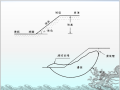 土质学与土力学7边坡稳定分析讲义PPT