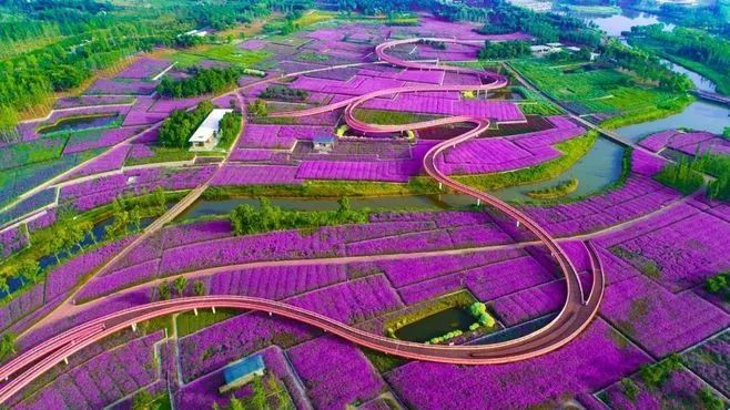 [分享]花海植物:景观之"海"设计
