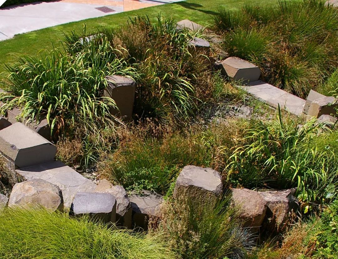 [分享]雨水花园到底应该做多大?设计师懵了.