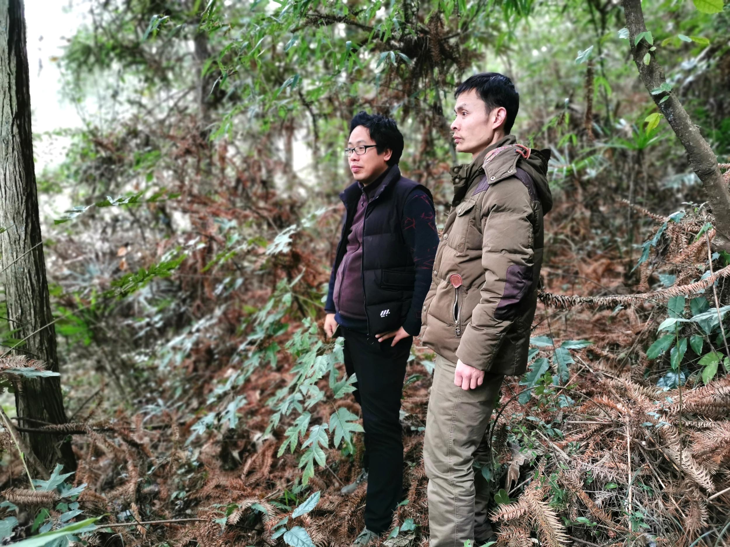 [资料]陈益峰:仰天螺形,冉氏满门科甲