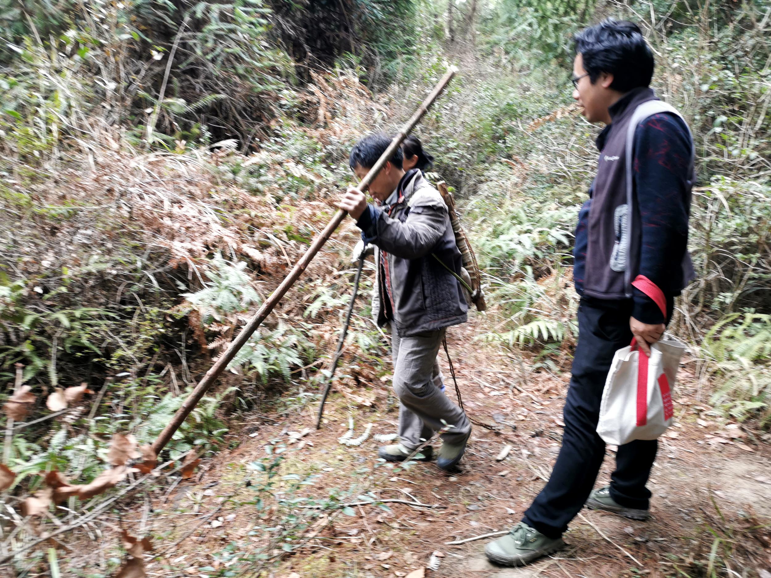陈益峰师傅在山里转悠,迷路之后,遇到砍柴的樵夫二人带路,才走出来