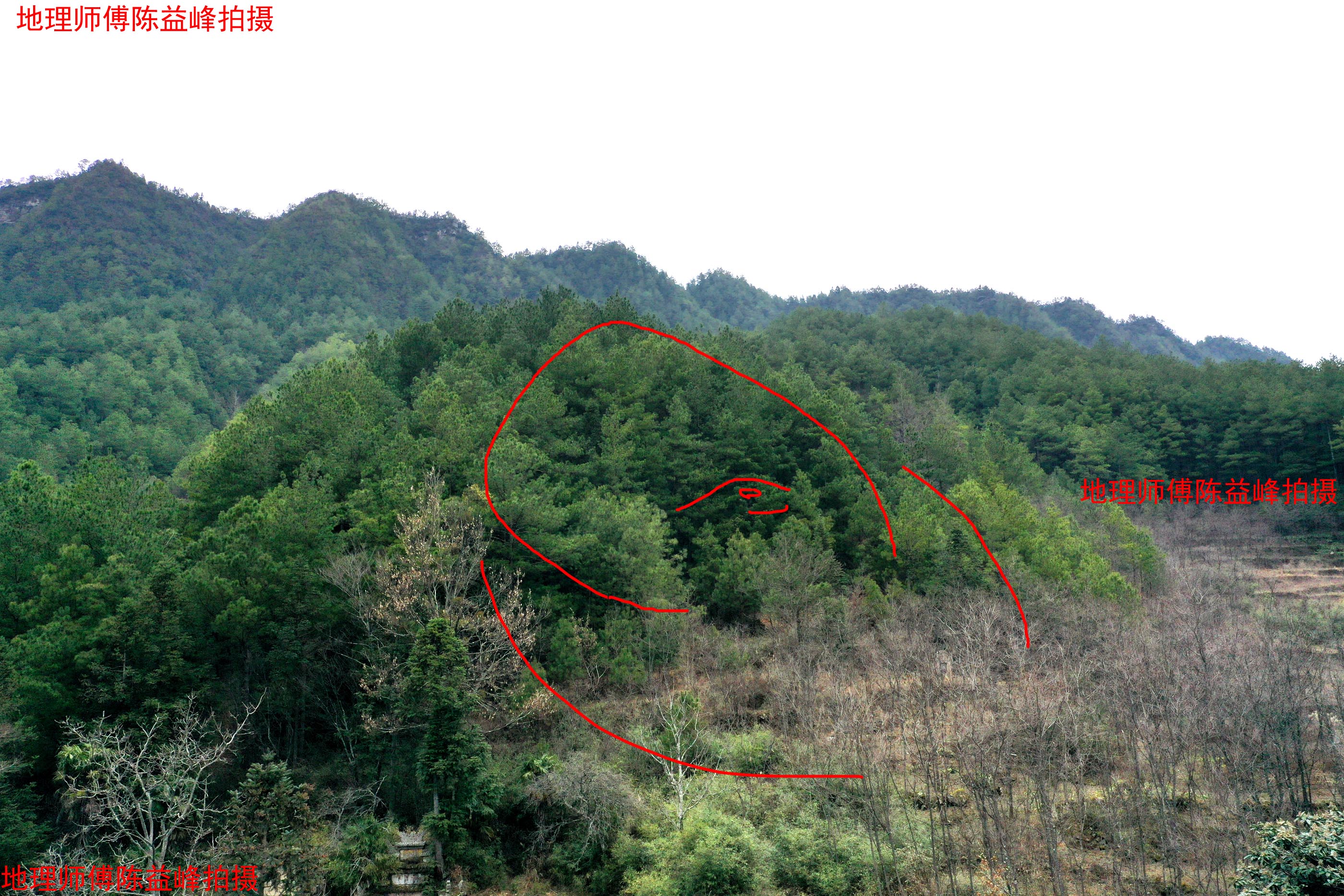 陈益峰:卧狮形,唐氏后人出现知县-建筑风水-筑龙建筑设计论坛