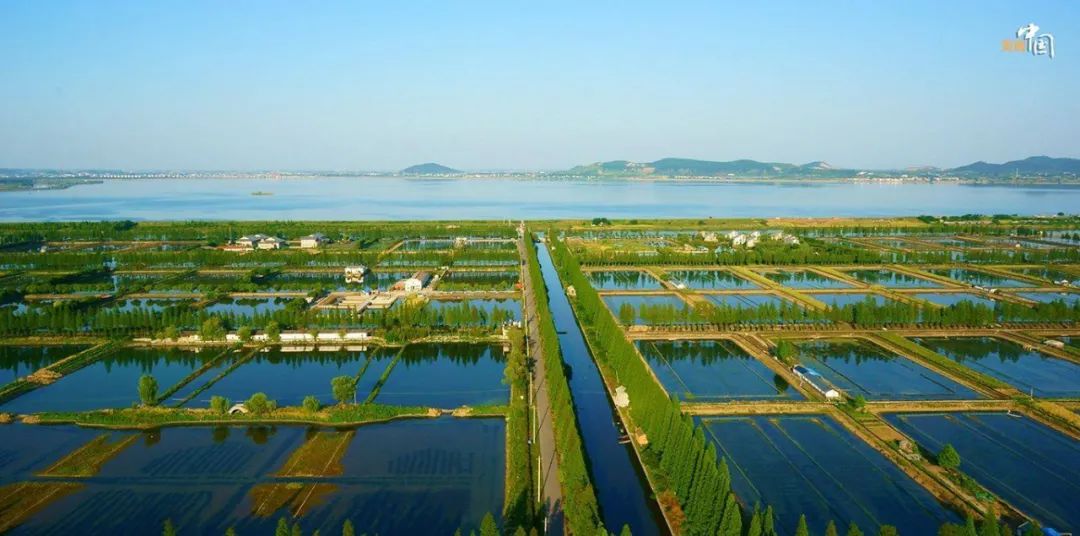 指的是中国江淮低洼地区周围防水的堤,长江中游地区称为垸,统称"圩垸"