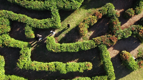 [分享]园艺界的"托尼老师",没有剪不出的精彩!