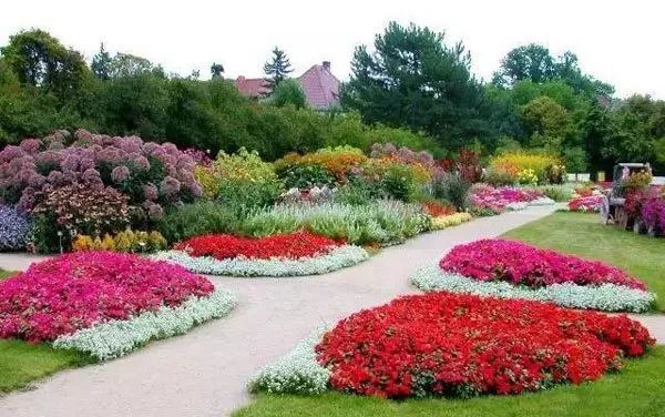 [分享]景观设计师必学的园林植物设计小技巧