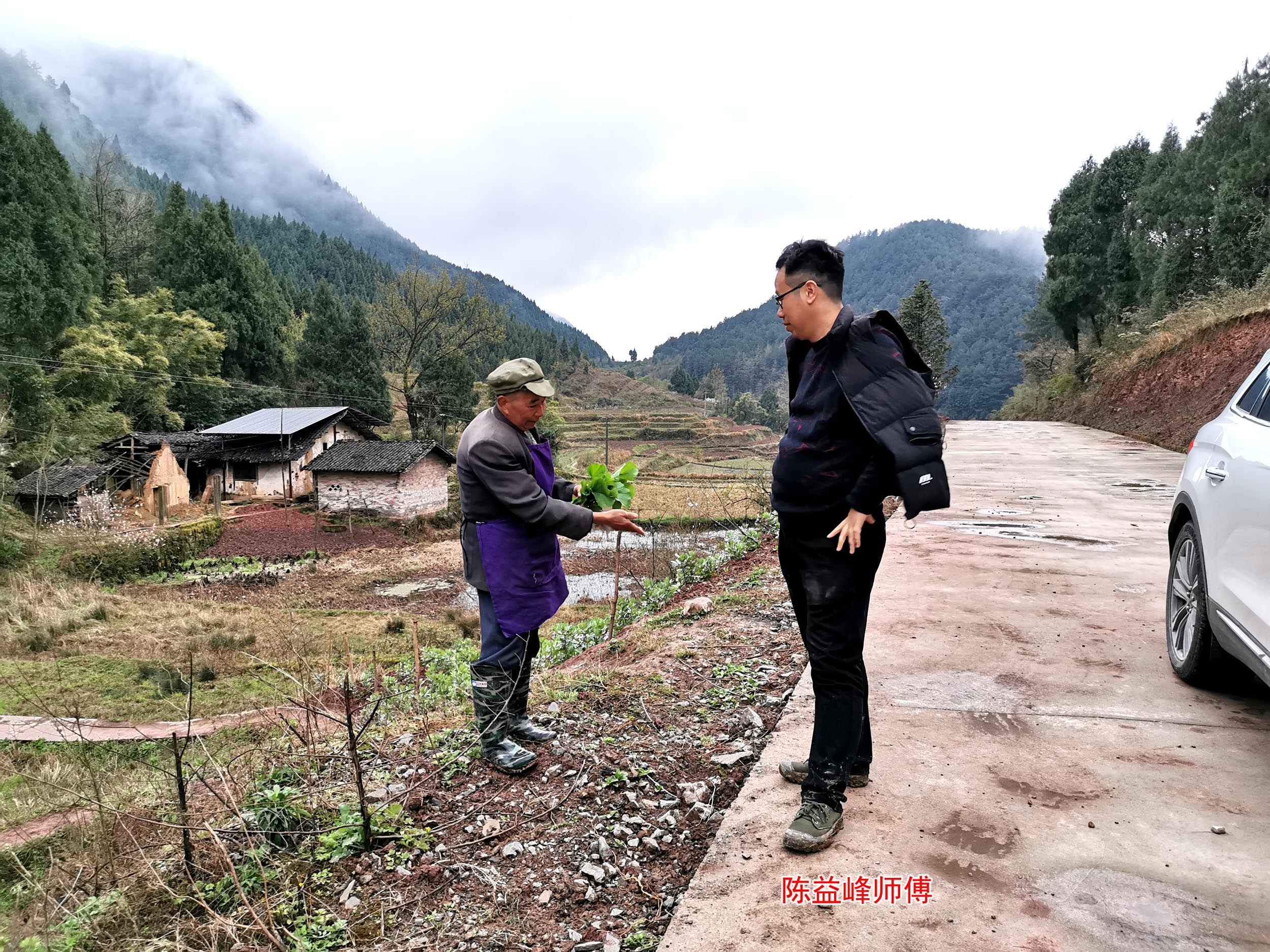 [资料]陈益峰:一发发上天,一败败如灰,黄瓜屋基